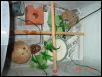 enclosure 2