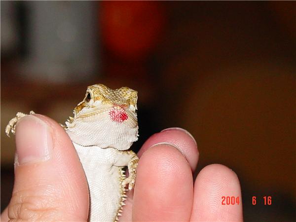 Pucker Up!!!