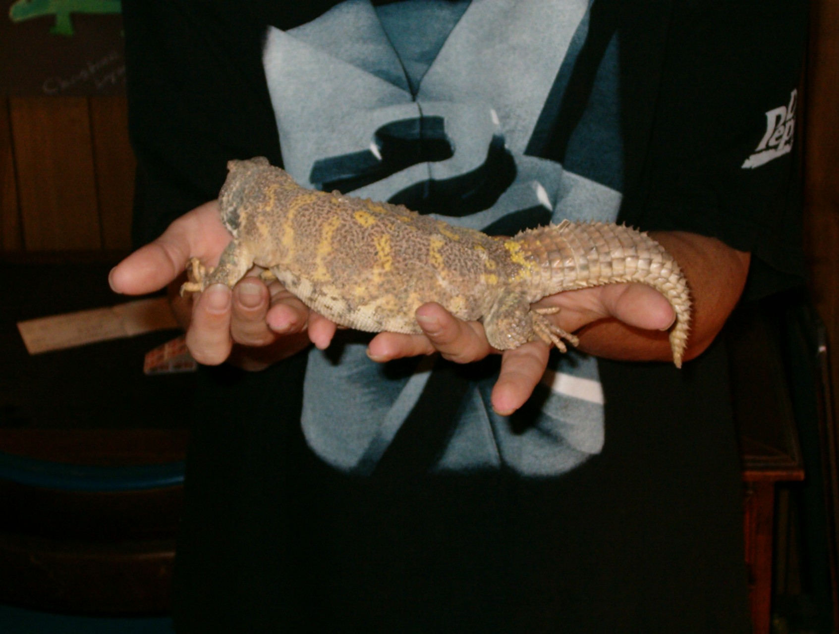 BIG !