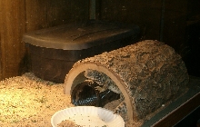 Mali nesting box