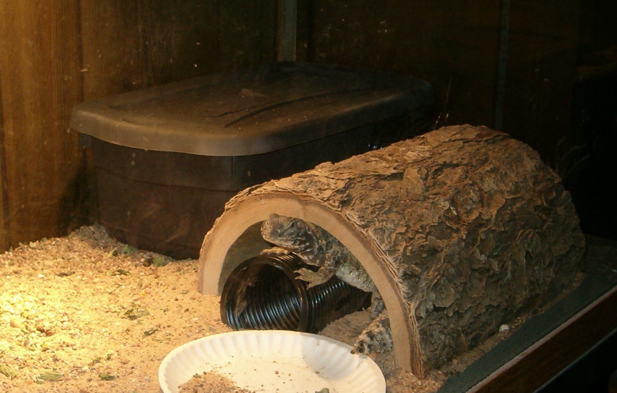 Mali nesting box