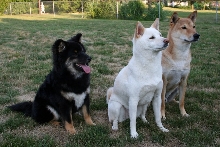 Kona Kiko and Kaia