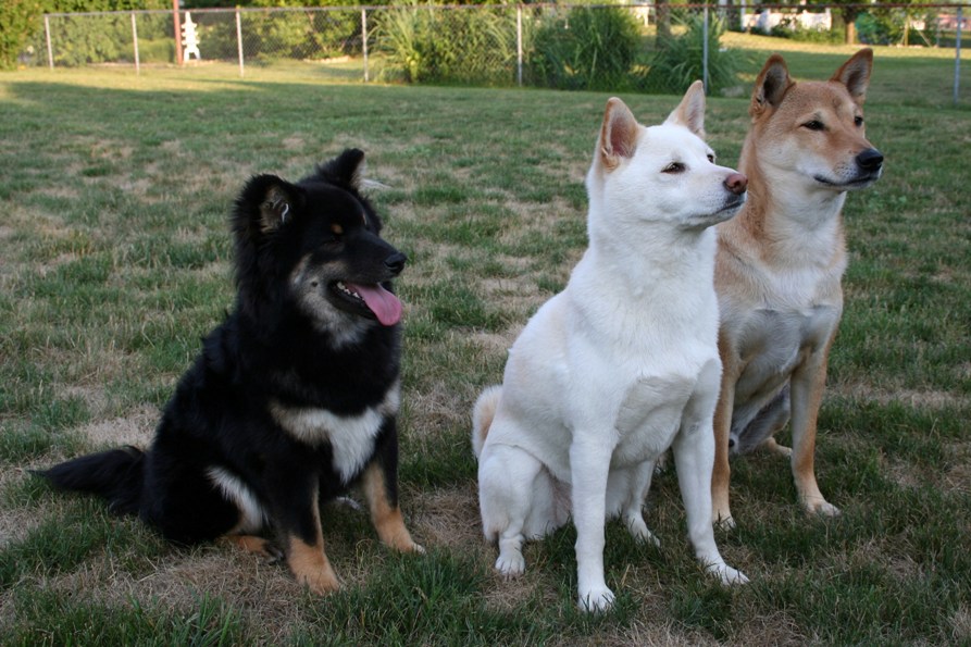 Kona Kiko and Kaia