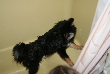Kaia in the tub