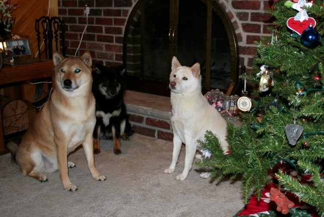 By the tree