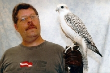 Gyre Falcon