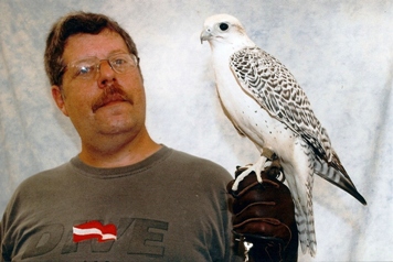 Gyre Falcon