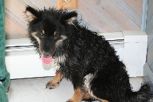 Kaia after tubby