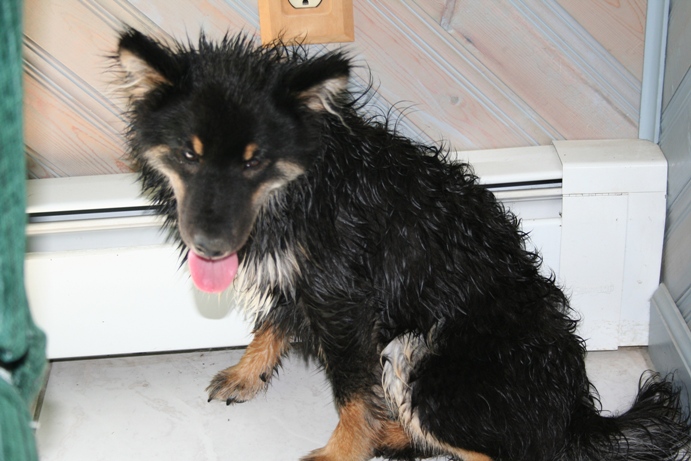 Kaia after tubby