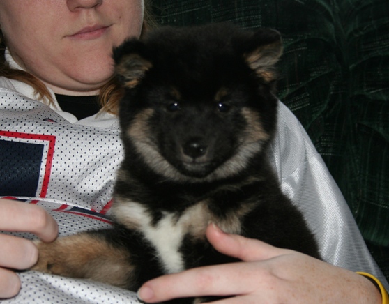 kaia closeup