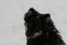 kaia december snow