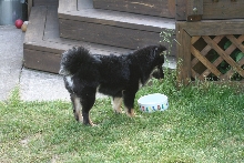 Kaia getting a drink
