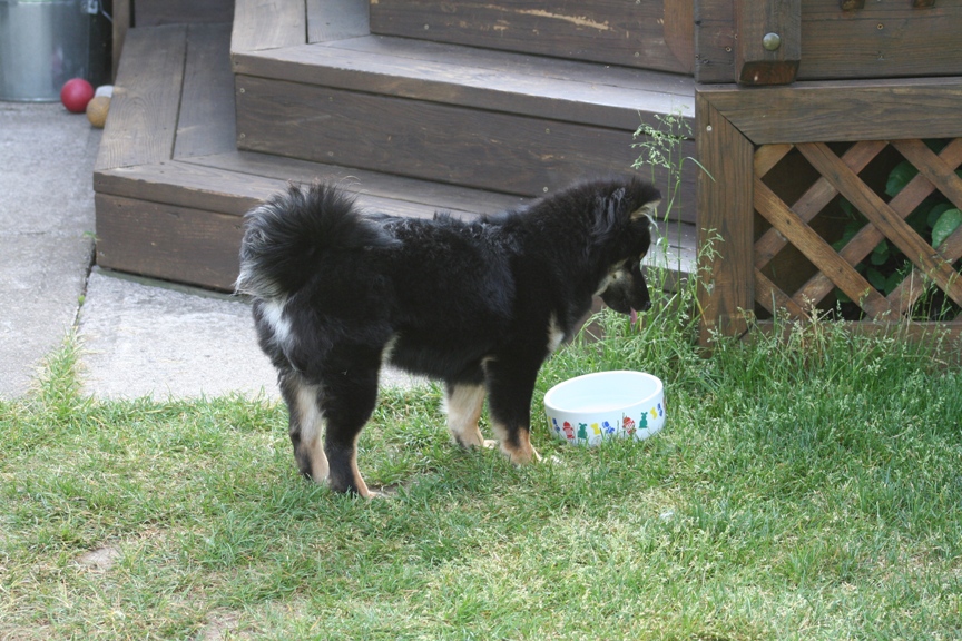 Kaia getting a drink