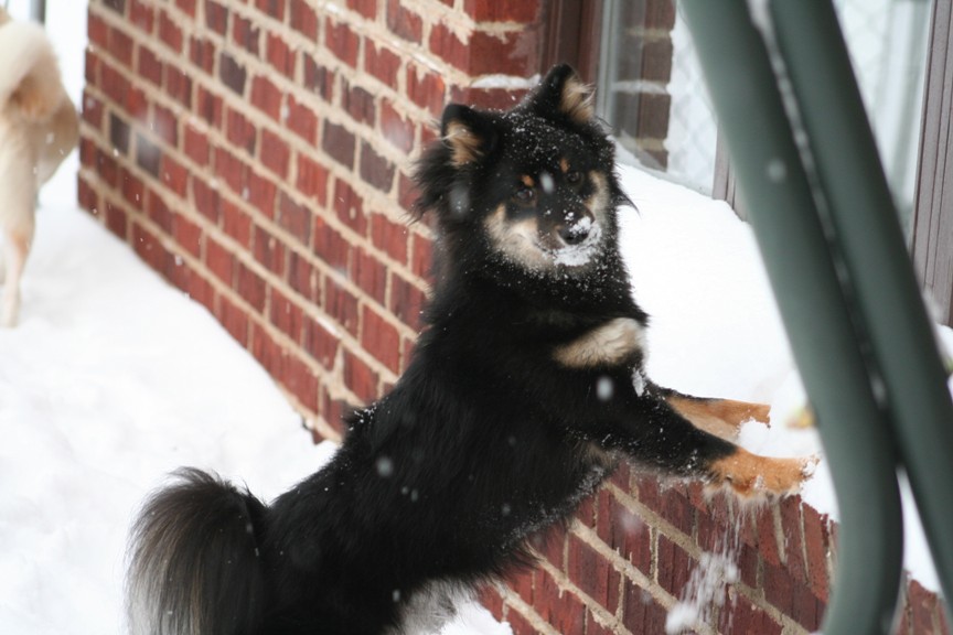 kaia looking in the window
