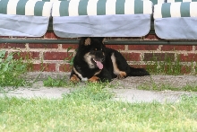Kaia's favorite spot