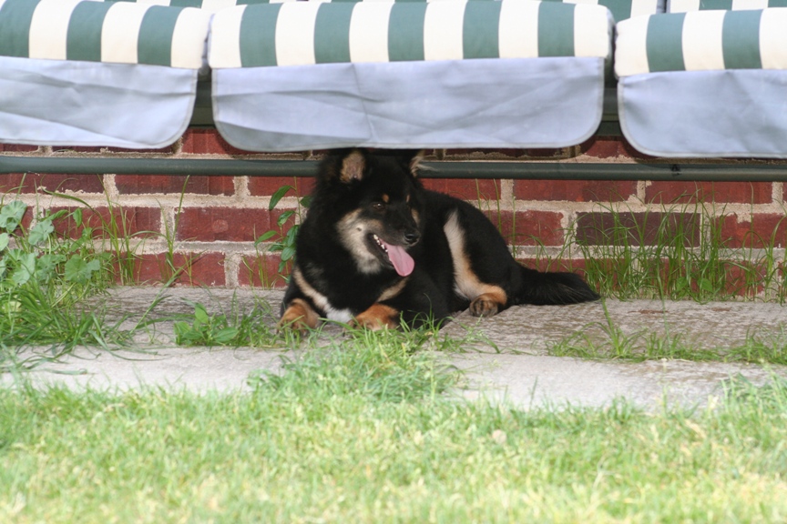 Kaia's favorite spot