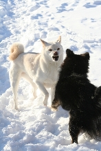 Kaia and Kiko 08