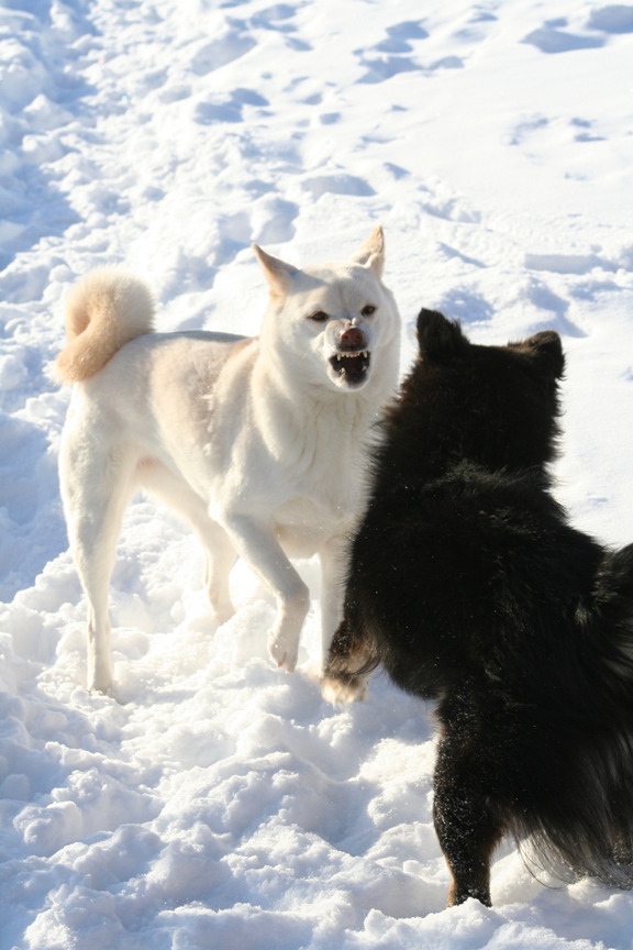 Kaia and Kiko 08