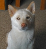 Sweet Kiko