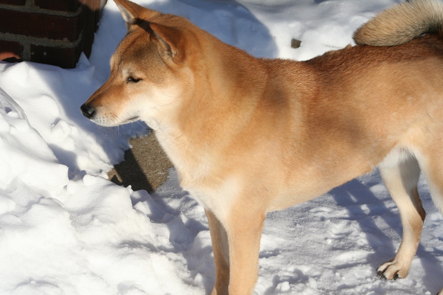 Kona 08