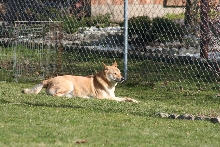 kona in the sun