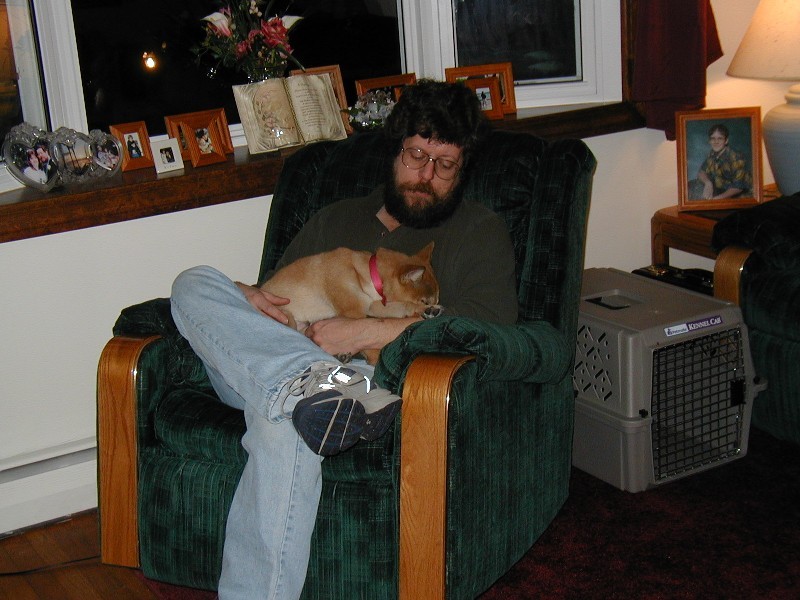 Koan & Me