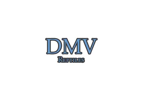 DMV Reptiles Logo 3