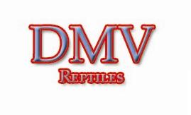DMV Reptiles Logo 2