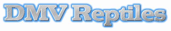 DMV Reptiles Logo