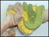 CHONDROS1