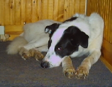 Probert :D