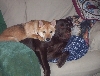 Snuggle Time