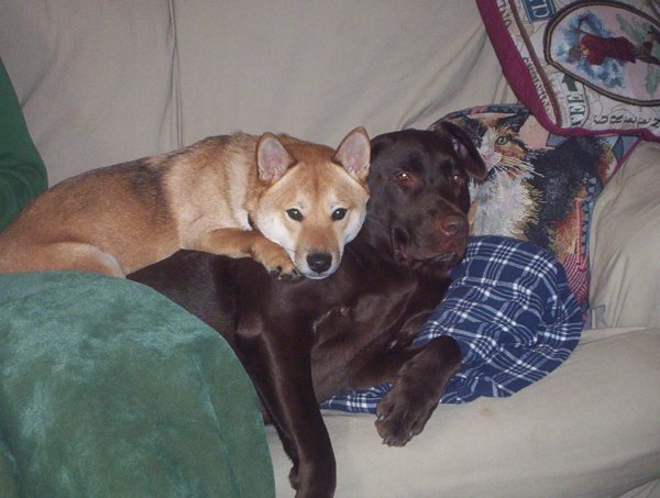 Snuggle Time