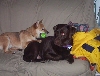 Play With Me!