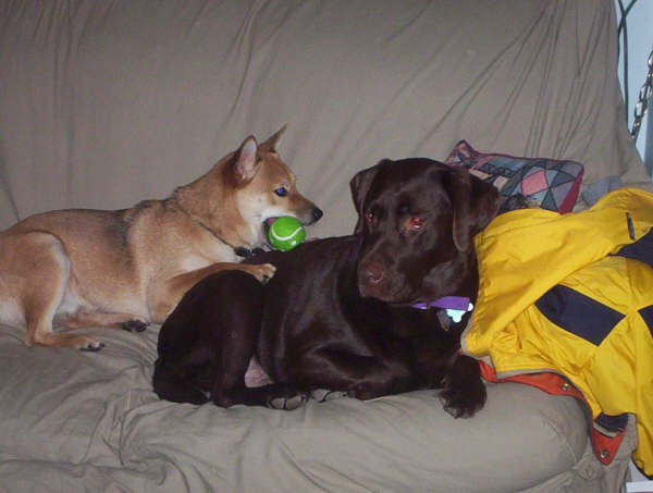 Play With Me!