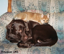 My Duo