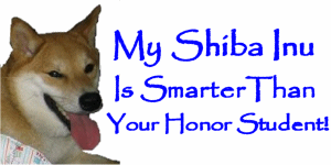 My Shiba is Smarter....