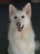 My Boy Kodi