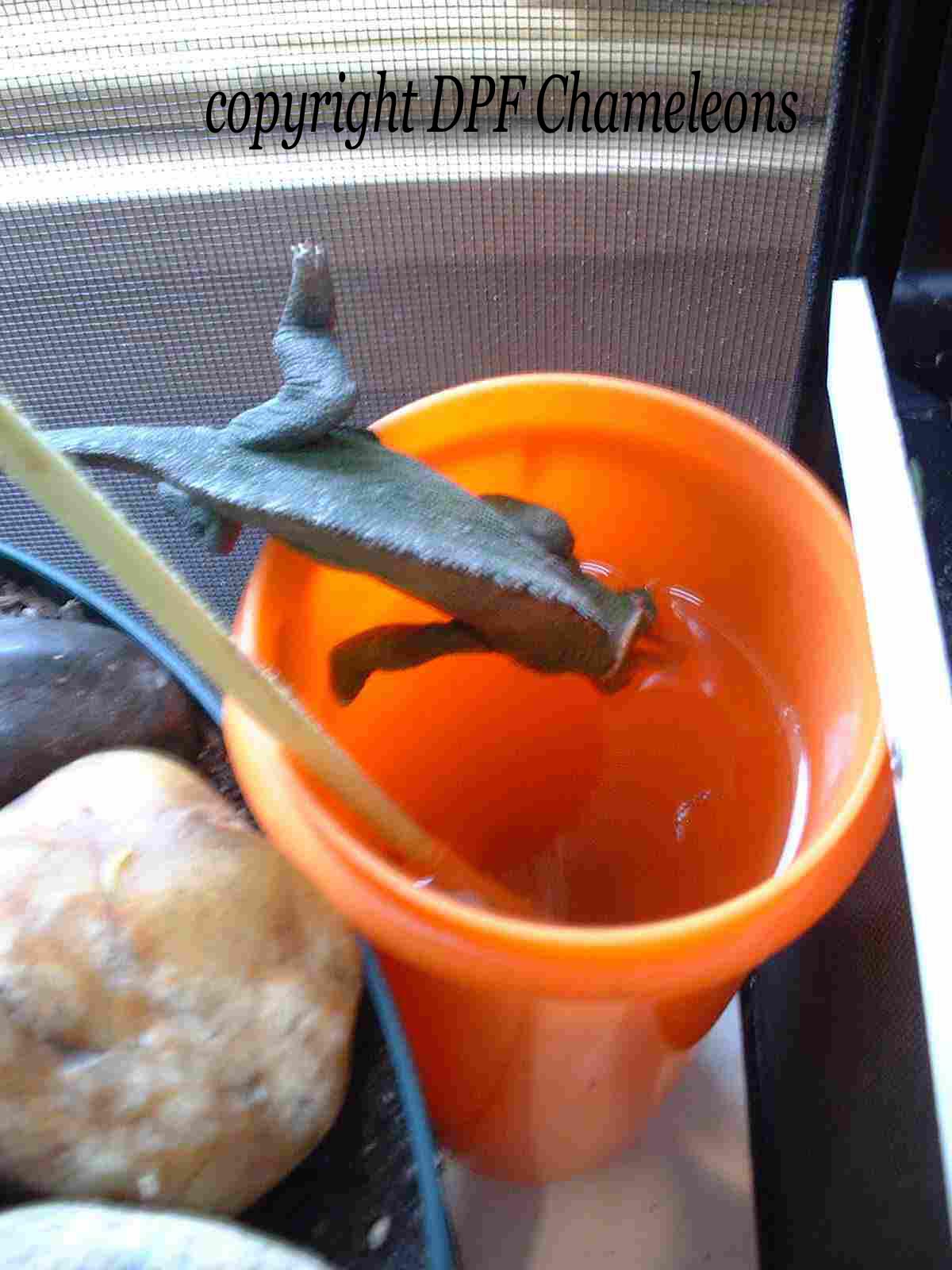 Our Fisher's Drinking