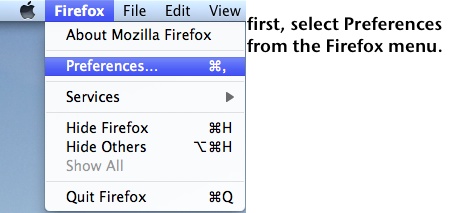 clear cache - Firefox 1