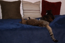 well dere iz boff ob us