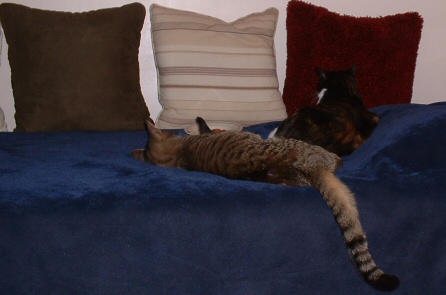 well dere iz boff ob us