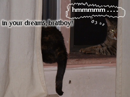 lookit my bruffer, yeesh