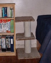 new furrniture