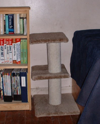new furrniture