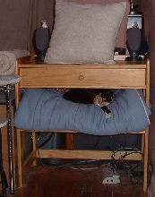 my new hidey place!