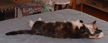 dis whut i fink ob t-storms