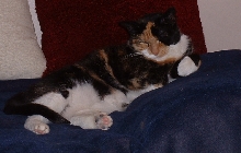 i not spoiled. NEENER