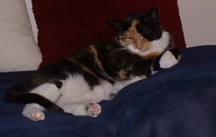 i not spoiled. NEENER