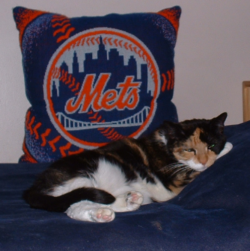waiting for spring training